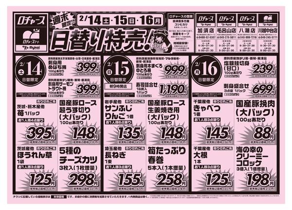 折り込みチラシnew-1