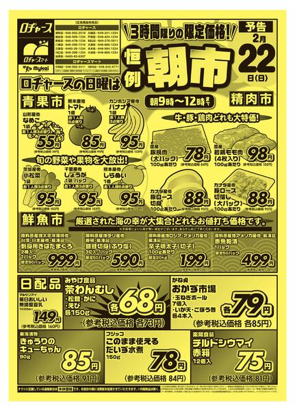 折り込みチラシnew-1