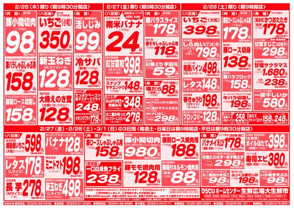 最新チラシnew-3