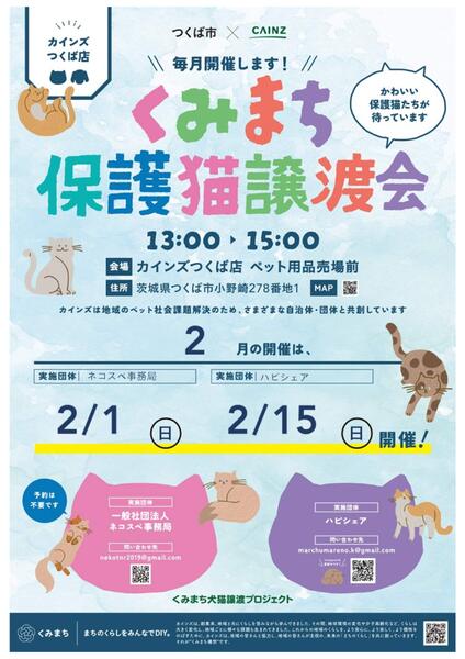 保護猫譲渡会 2/1号new-1