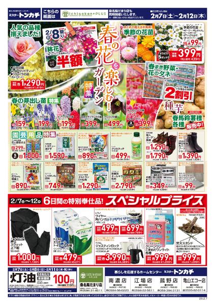 ミスタートンカチ2月7日(土)～2月12日(木)特売情報-1