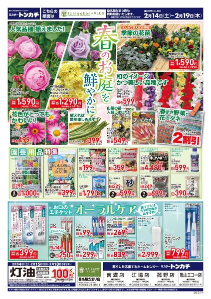 ミスタートンカチ2月14日(土)～2月19日(木)特売情報new-1