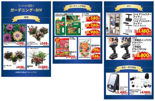 2026年1月29日〜2月11日までアヤハディオ50周年プレセール！-4