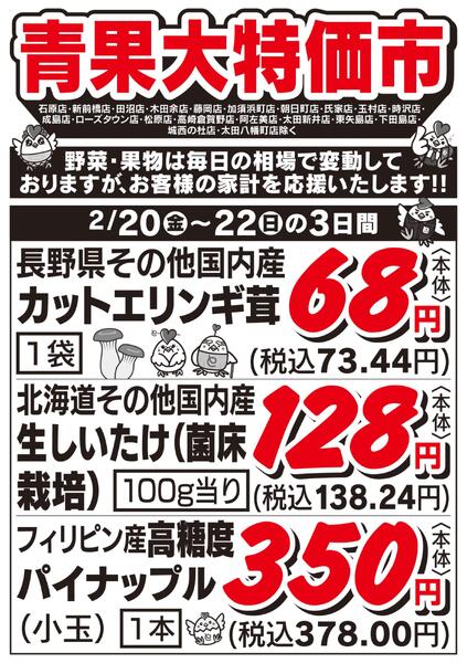 青果大特価市　2/20号-2