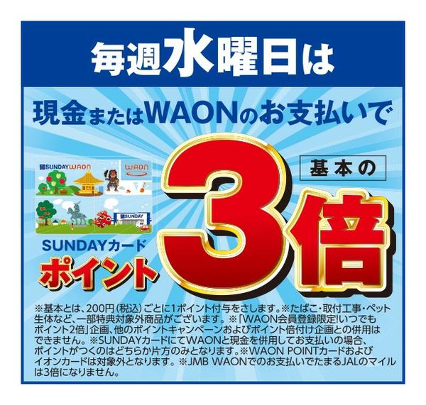 2026年2月11日限り毎週水曜日はポイント3倍new-1