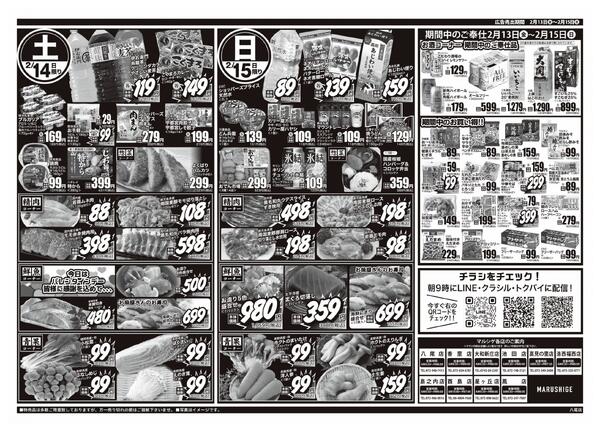 2026年02月12日new-2