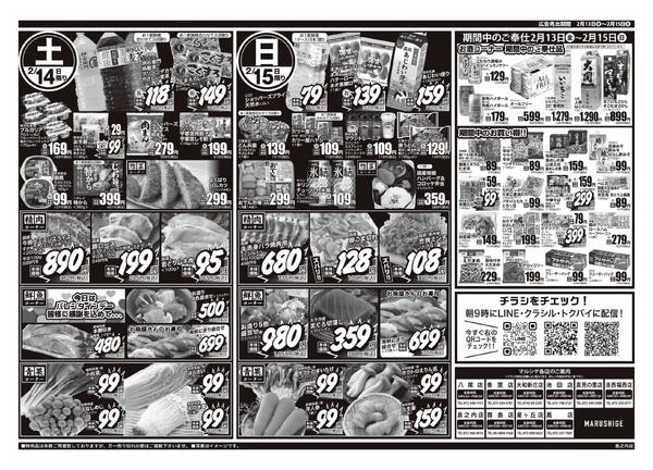 2026年02月12日new-2