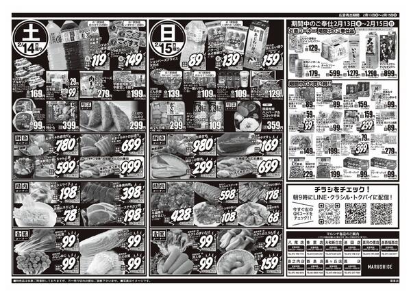 2026年02月12日new-2