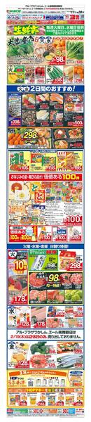 WEB限定 2/17（火）～生鮮市-1