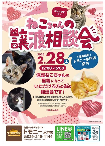 ２月わくわくお買い得品（トモニー）-2