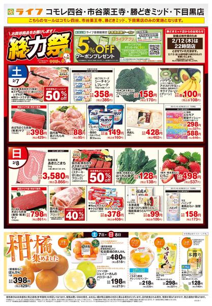 2/7号　総力祭/柑橘集めました-1