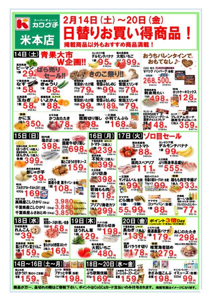 最新チラシnew-1