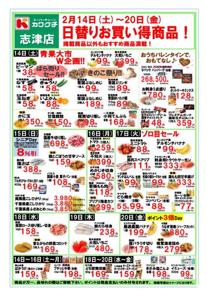 最新チラシnew-1