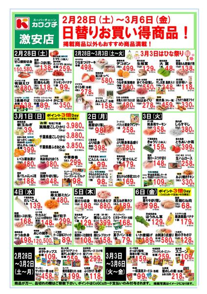 最新チラシnew-2