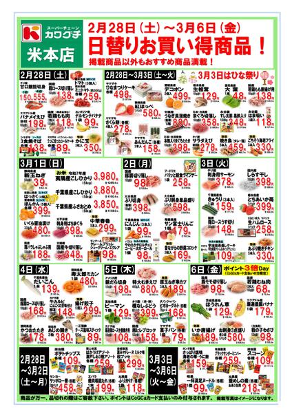 最新チラシnew-1