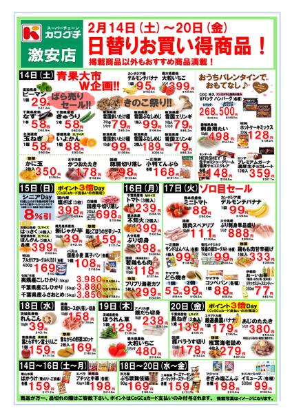 最新チラシnew-2