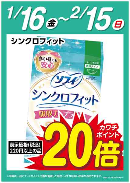 2026年1月17日〜2月15日までソフィ　シンクロフィット　ポイント20倍-1