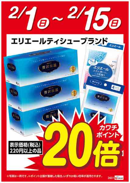 2026年2月1〜15日までエリエールティシュー　ポイント20倍new-1