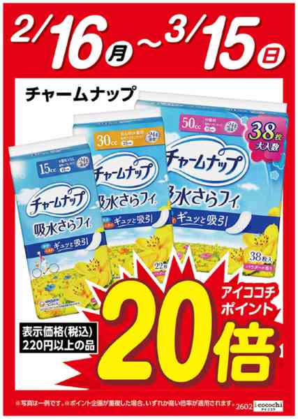 2026年2月16日〜3月15日までチャームナップ　ポイント20倍new-1