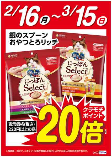 2026年2月17日〜3月15日まで銀のスプーン　おやつとろリッチ　20倍-1