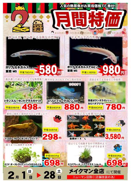 2026年2月1〜28日まで熱帯魚月間特価new-1