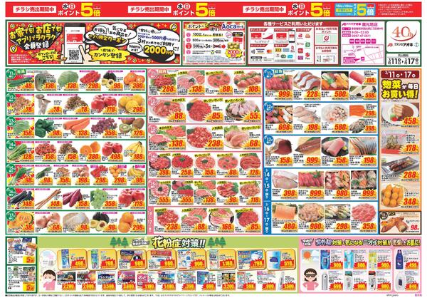 最新チラシnew-1