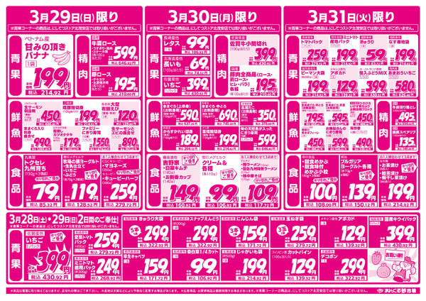 2026年3月27〜31日まで3/27春の彩り祭り！-2