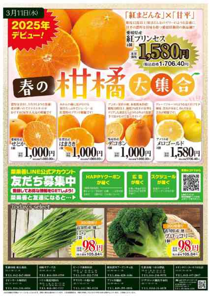2026年3月8〜11日まで菜果善　大収穫祭！-2