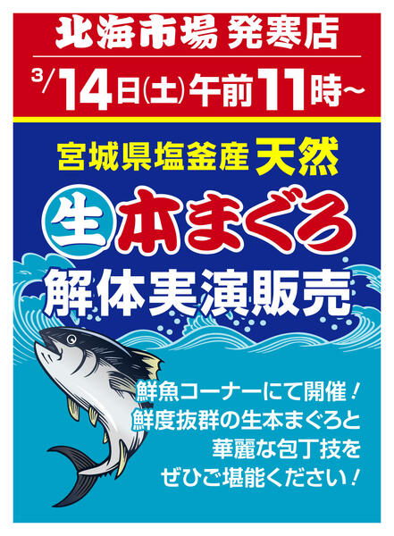 最新チラシnew-4