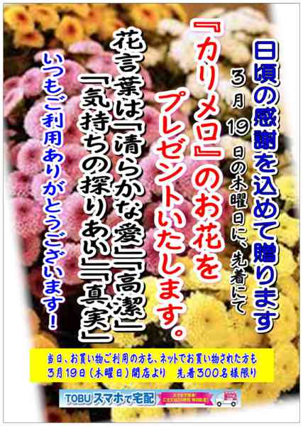 2026年2月21日〜3月18日まで感謝の気持ちをこめてお花を贈ります！-1