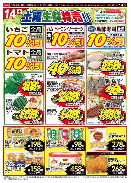 最新チラシnew-1