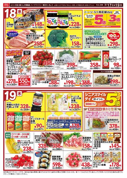 最新チラシnew-2