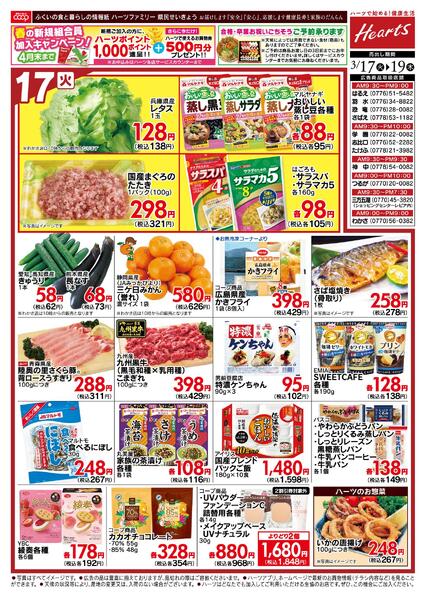 最新チラシnew-1