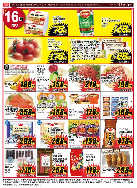 最新チラシnew-1