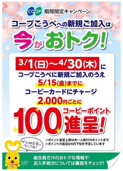 新規ご加入は今がおトク！-1