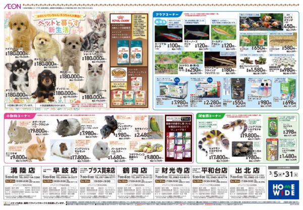 ３月５日（木）～３月３１日（火）-2