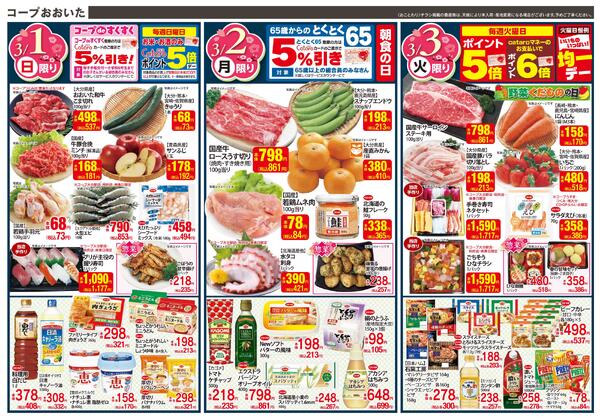 ひなまつりチラシ（全店舗対象）-2