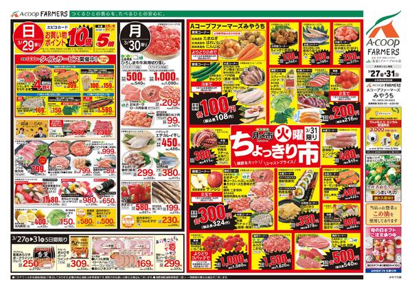 3月27日～3月31日-2