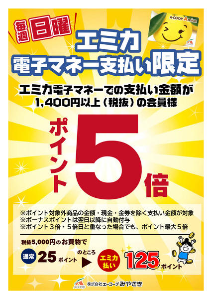 2026年3月1〜29日まで毎週日曜日エミカ払い５倍！-1