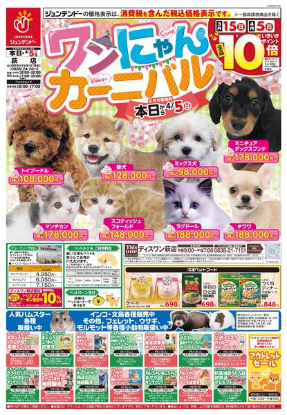 ワンにゃんカーニバル-1