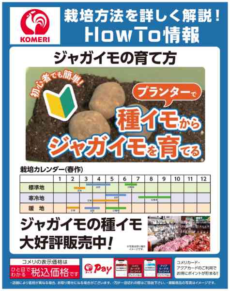 2026年3月15日〜4月30日までコメリ ジャガイモの育て方new-1