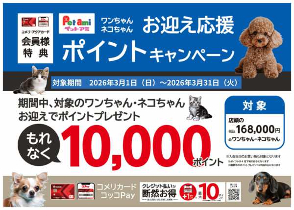 2026年3月15〜31日までペットお迎え応援！ポイントキャンペーン-1