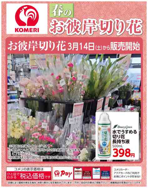 2026年3月20〜23日までコメリ 春のお彼岸切り花new-1