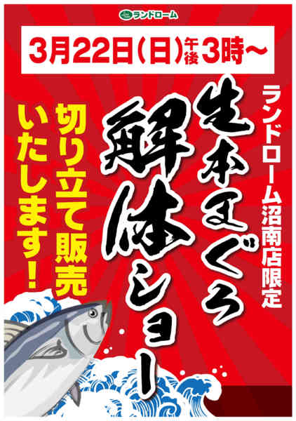 2026年3月1〜22日まで【沼南店】限定☆まぐろ解体ショー開催！！-1