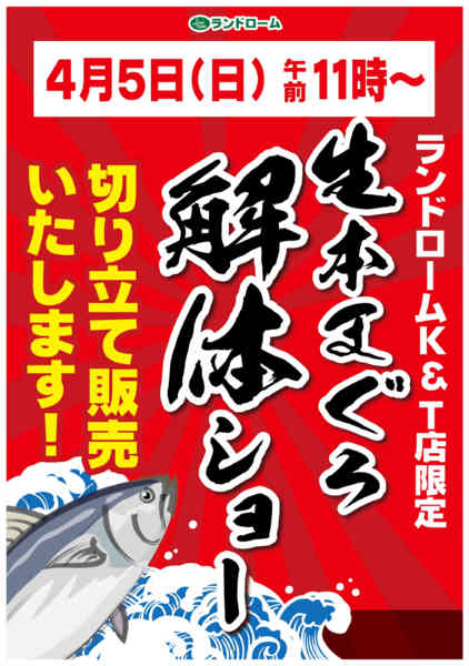2026年3月23日〜4月5日まで【K＆T店】限定⭐まぐろ解体ショー開催！-1
