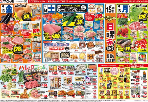 最新チラシnew-1