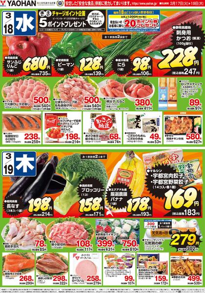 最新チラシnew-2