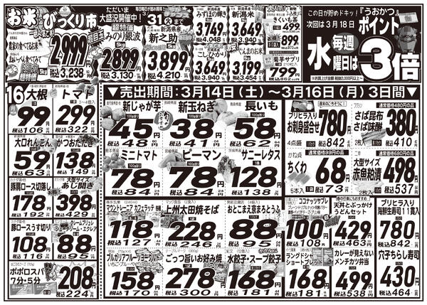 最新チラシnew-2