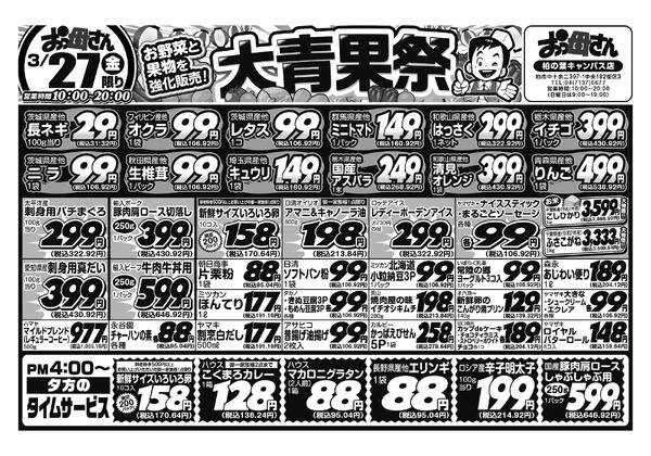 レギュラーチラシ-1