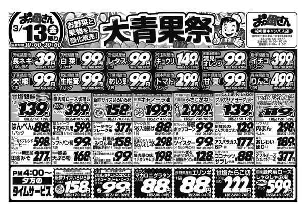 レギュラーチラシ-1